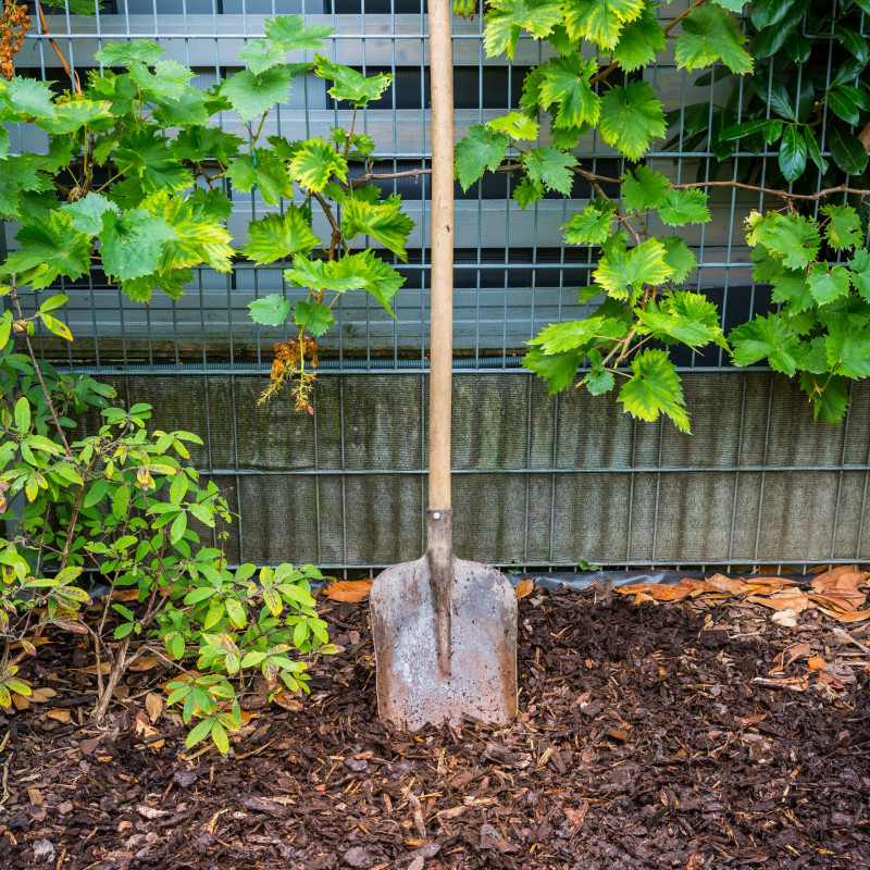 Terreno e Pacciamatura