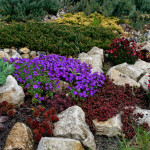 Kit giardino mediterraneo #12