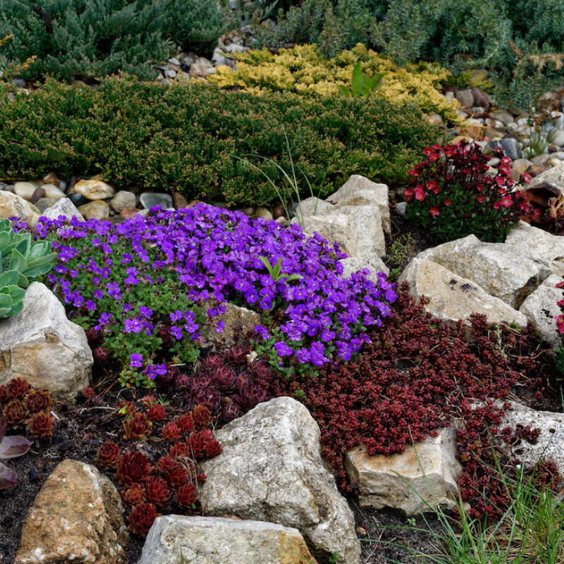 Kit giardino mediterraneo #12